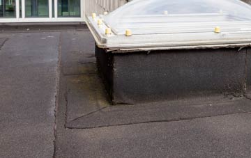 disadvantages of Blyth flat roofs
