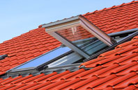 Blyth roof window